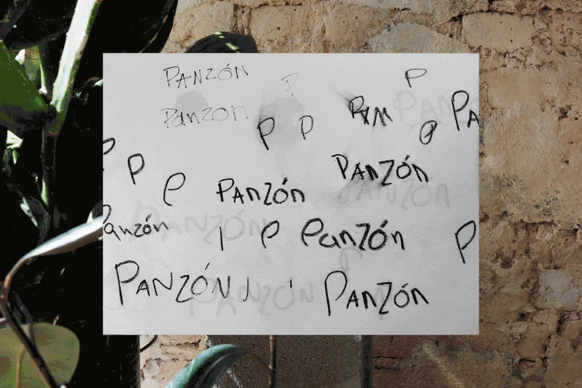 案例优选:PANZON 餐厅品牌VI设计欣赏|品牌VI·VI设计案例精选