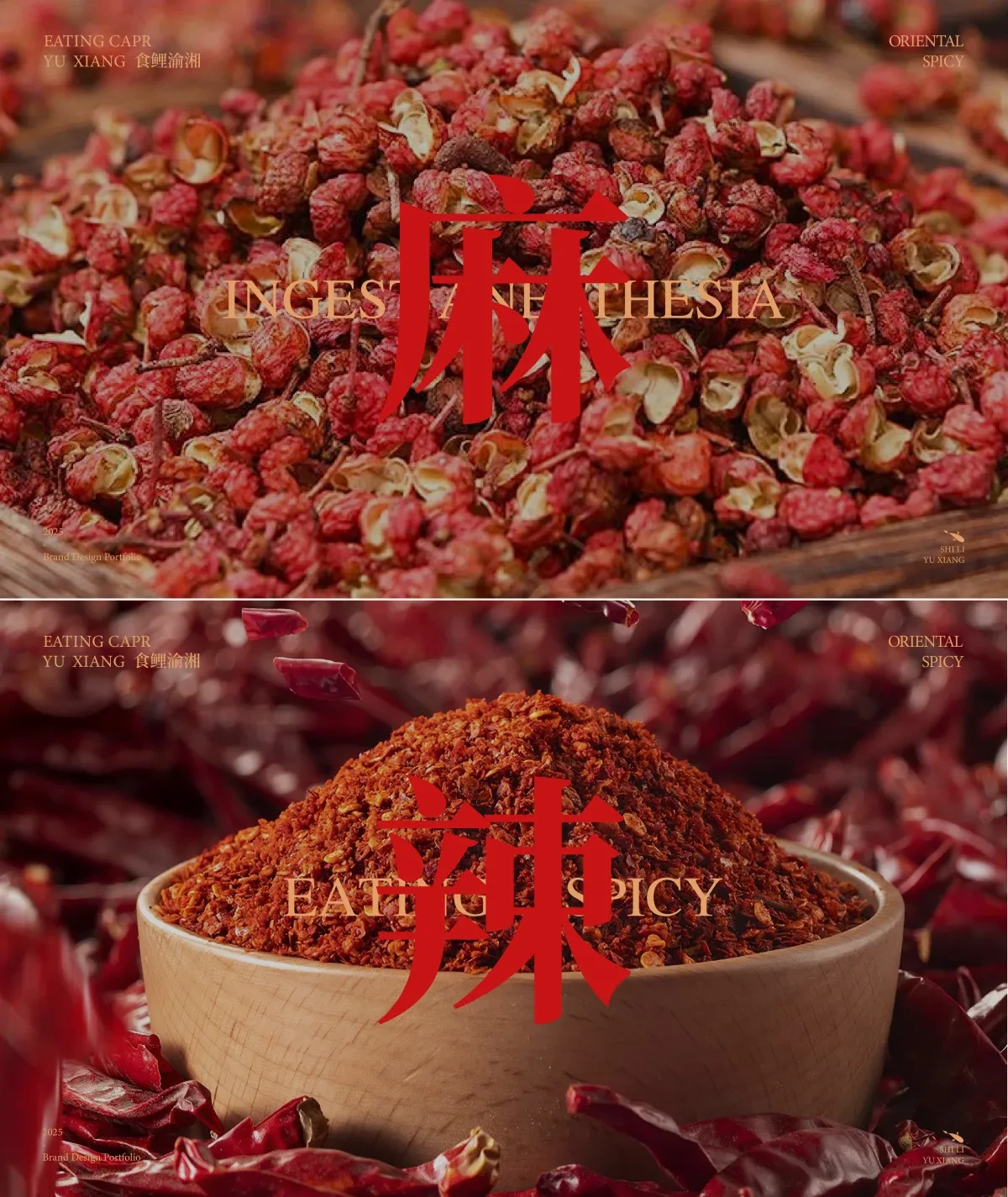 案例优选:餐饮品牌|食鲤渝湘 一家火锅店的视觉体验|设计案例精选