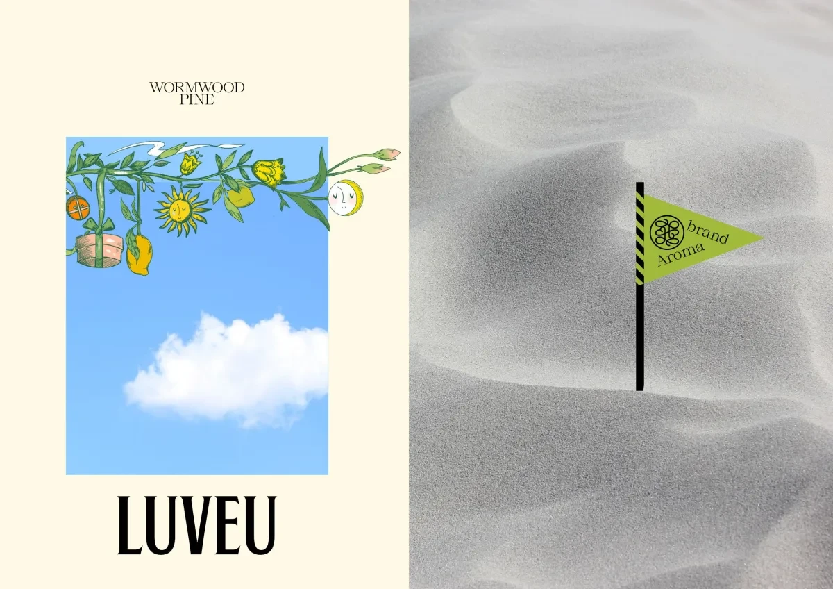 案例优选：LUVEU香薰品牌标识和包装设计｜包装设计·设计精选