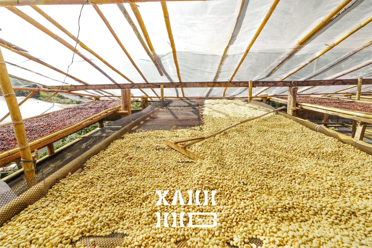 作品欣赏：Xanhhub品牌标识布局设计标志设计图形设计｜标志设计·图形设计精选