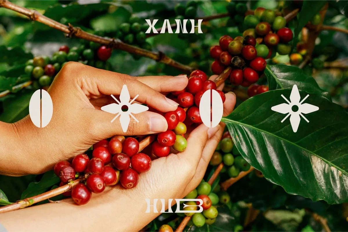 作品欣赏：Xanhhub品牌标识布局设计标志设计图形设计｜标志设计·图形设计精选