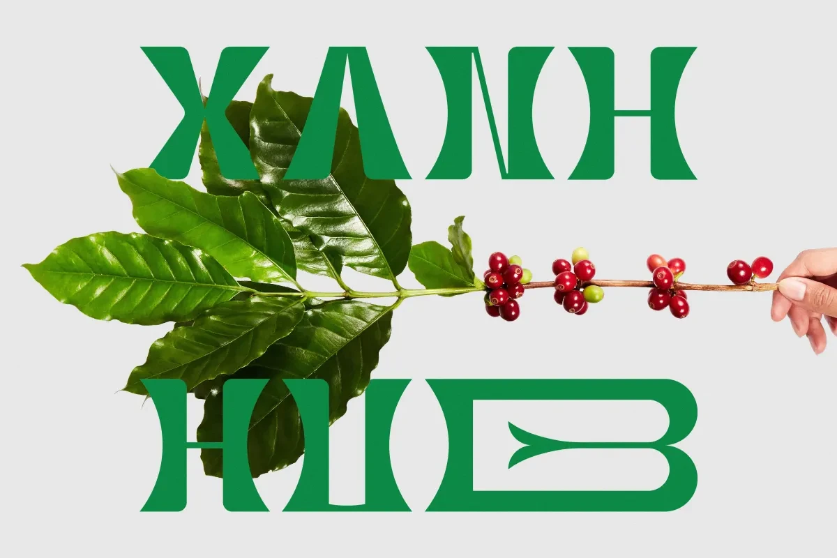 作品欣赏：Xanhhub品牌标识布局设计标志设计图形设计｜标志设计·图形设计精选