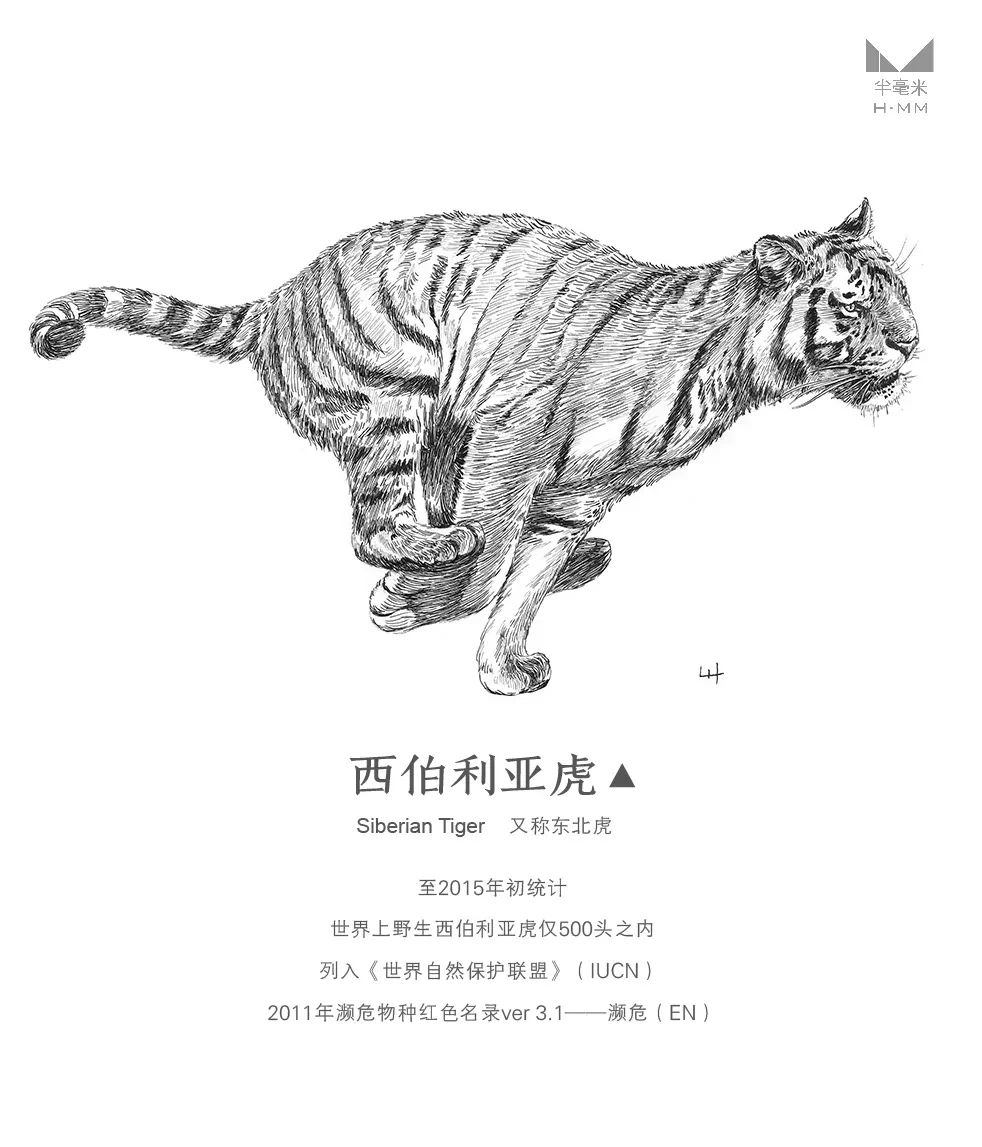 案例优选：奔跑的动物—手绘钢笔画｜设计案例精选