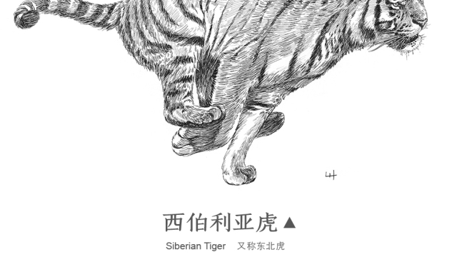 案例优选：奔跑的动物—手绘钢笔画｜设计案例精选