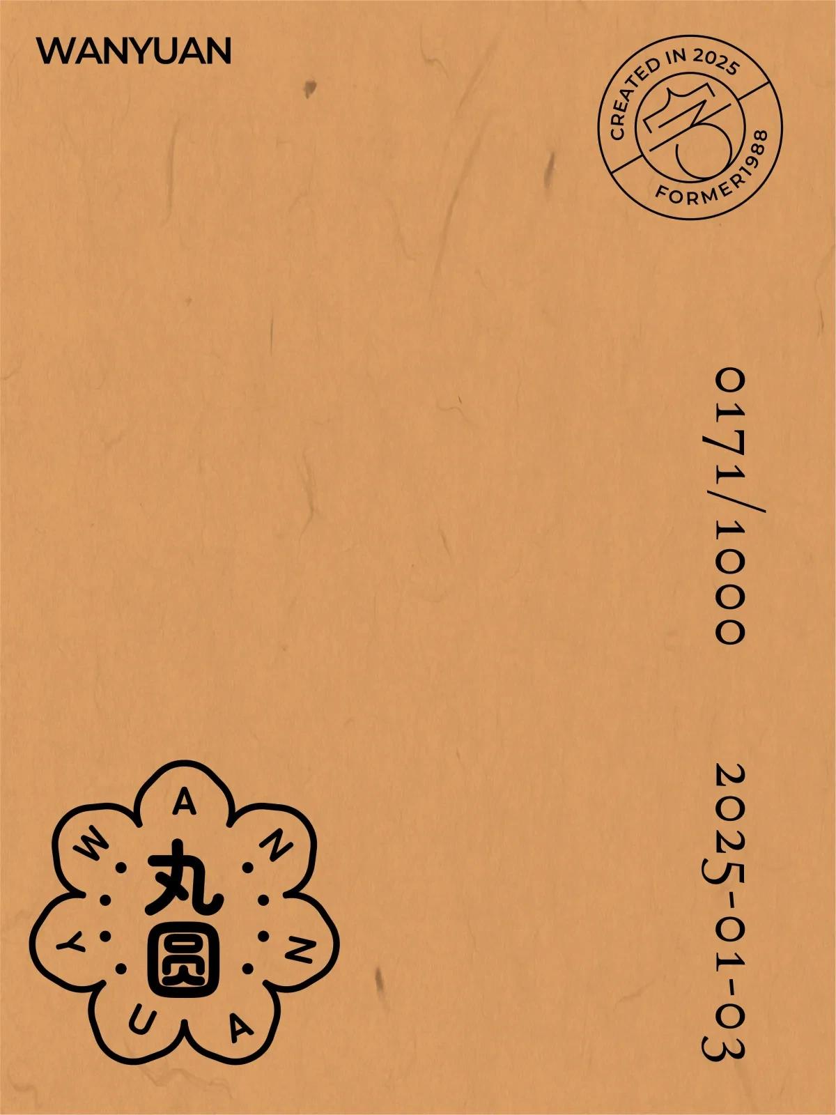 案例优选:2025年1月上旬字体logo设计作品集|设计案例精选