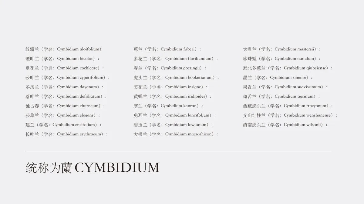 案例优选:符号设计|设计案例精选