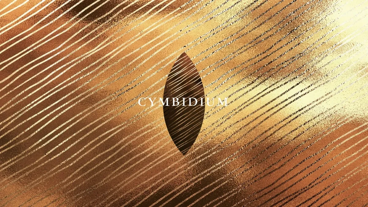 案例优选:符号设计|设计案例精选