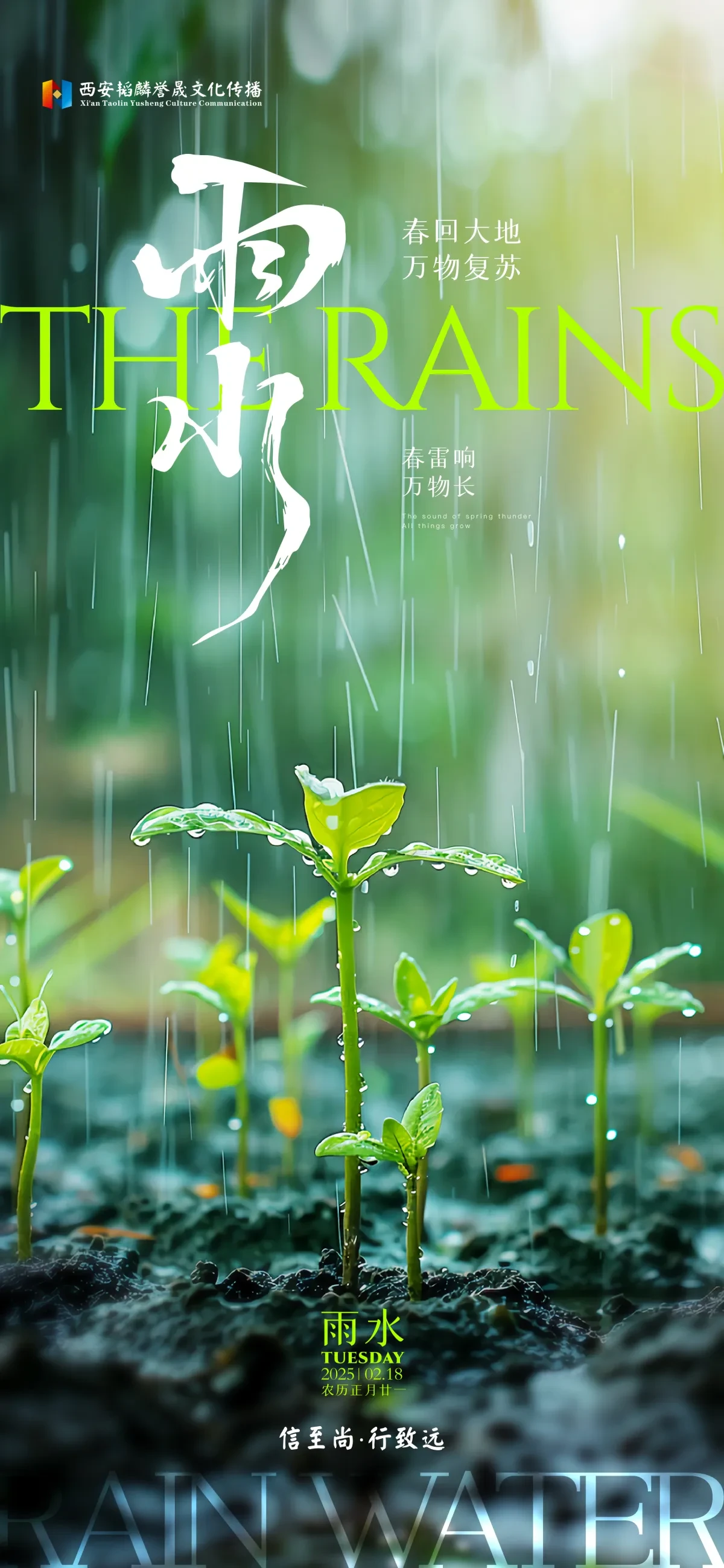 案例优选:节日/节气海报单图|设计案例精选