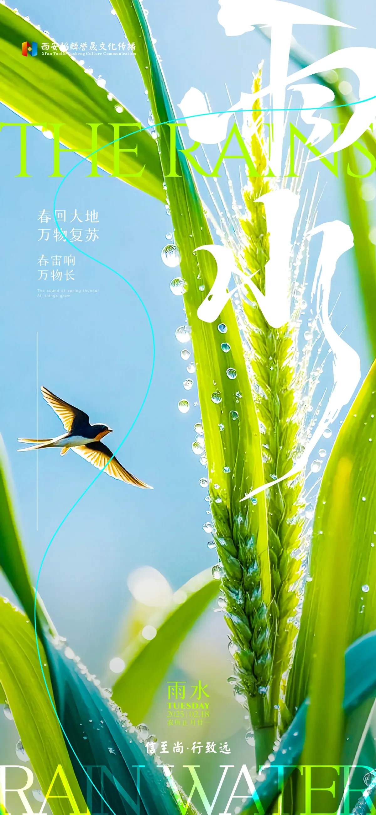 案例优选:节日/节气海报单图|设计案例精选