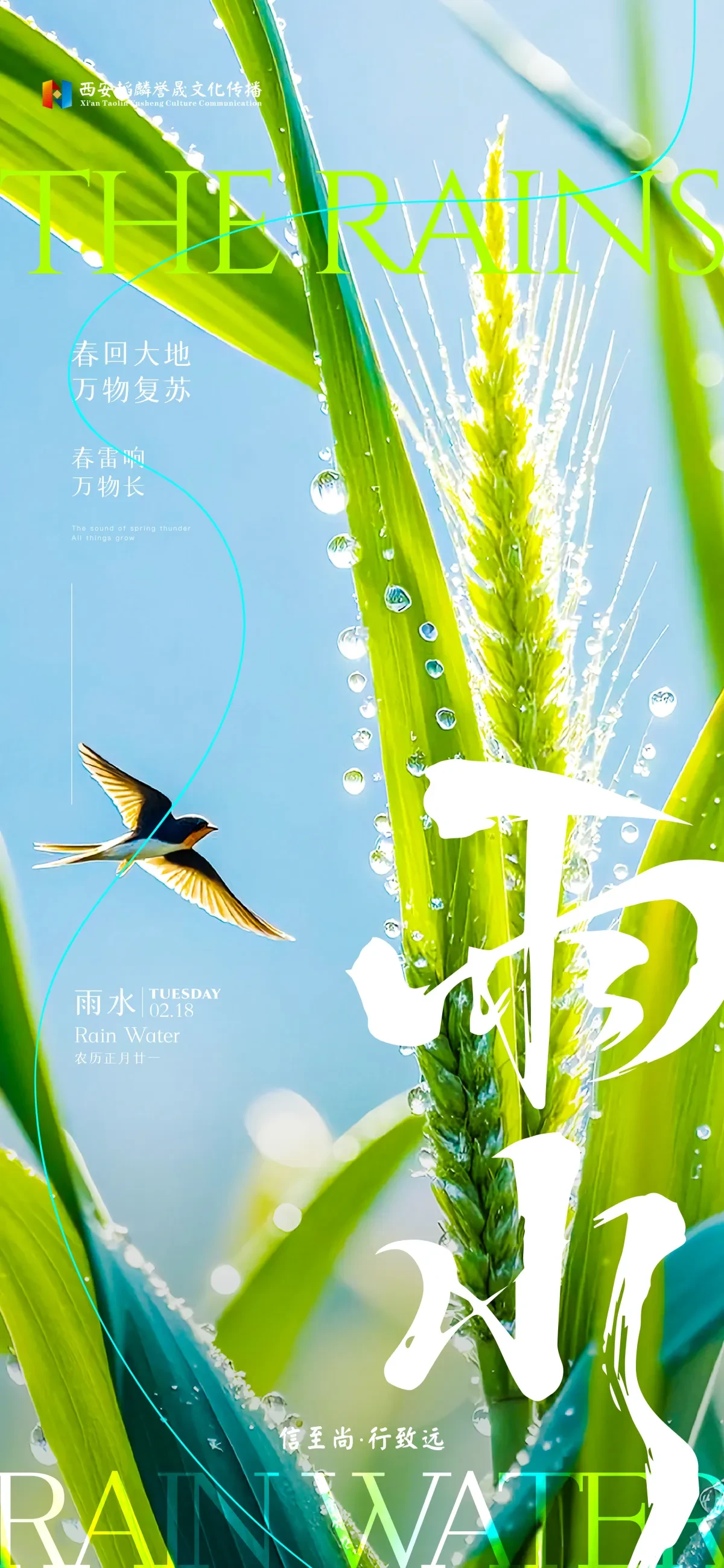 案例优选:节日/节气海报单图|设计案例精选