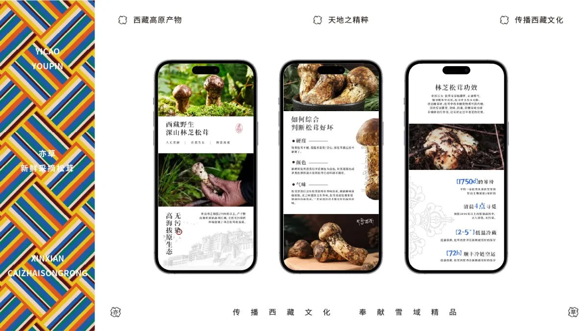 案例优选:藏族高原产物 以天地之精华 供养天地之亦草|设计案例精选