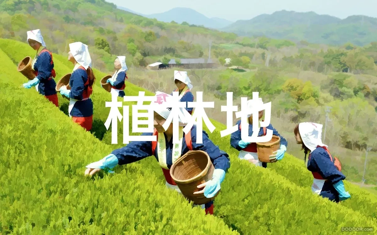 作品欣赏：フォーハーツ日本草药茶叶形象包装设计｜包装设计·设计精选