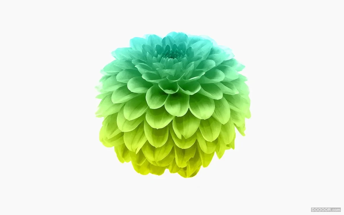 作品欣赏：フォーハーツ日本草药茶叶形象包装设计｜包装设计·设计精选