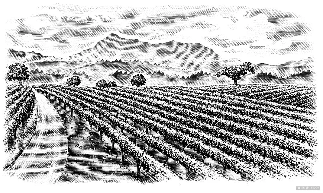 案例优选：美国Steven Noble洋酒瓶贴复古标签手绘大作（3/3）｜标签设计·设计精选