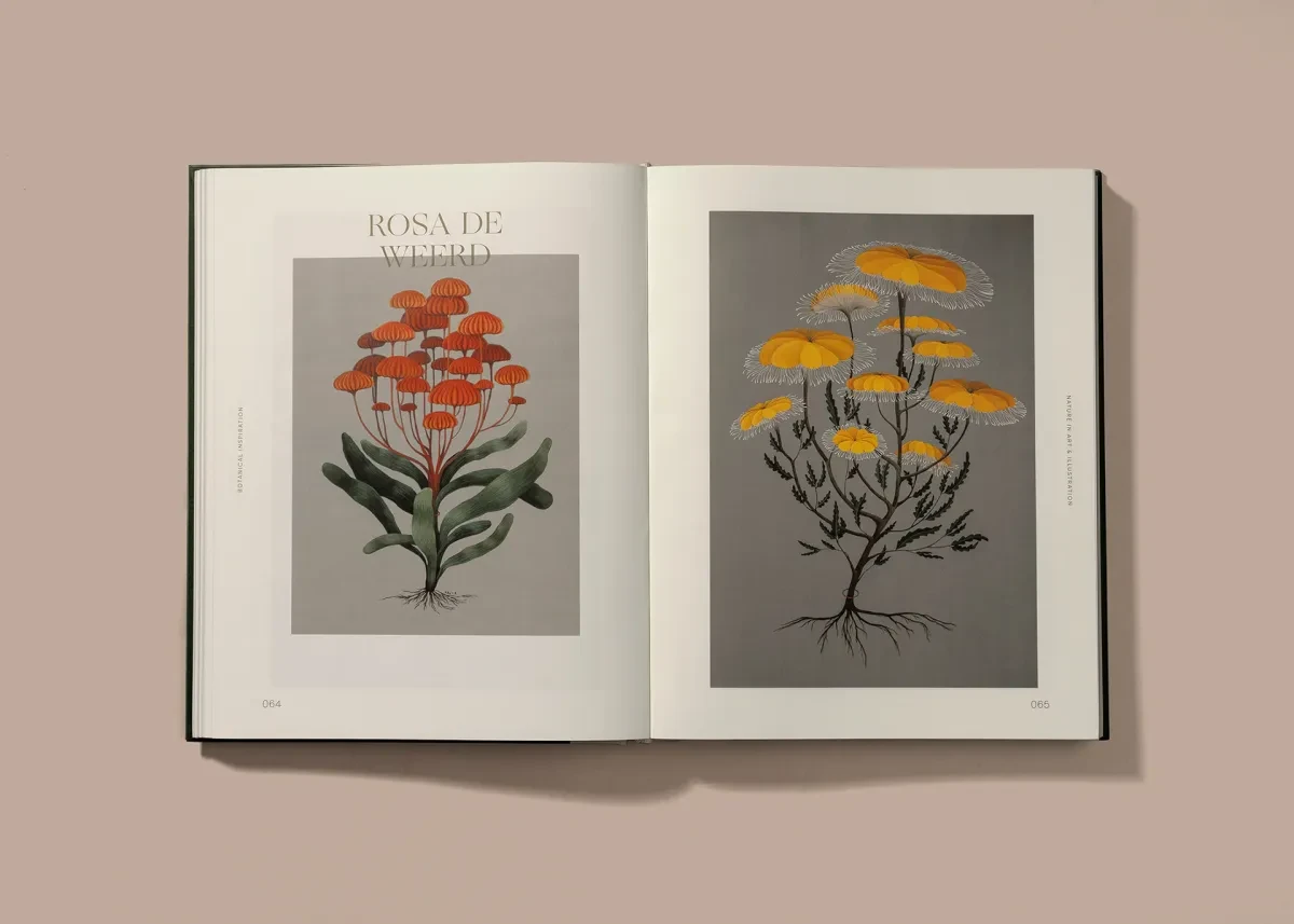 作品欣赏：植物灵感书籍设计