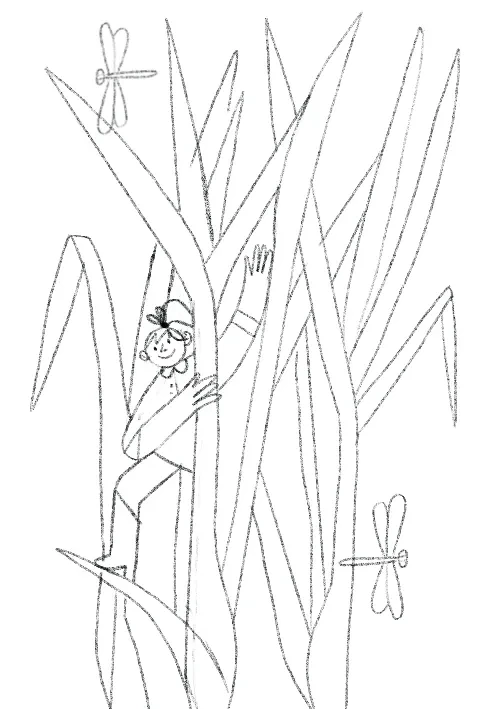 作品欣赏：插画元素类外包装设计合集欣赏｜包装设计·设计精选