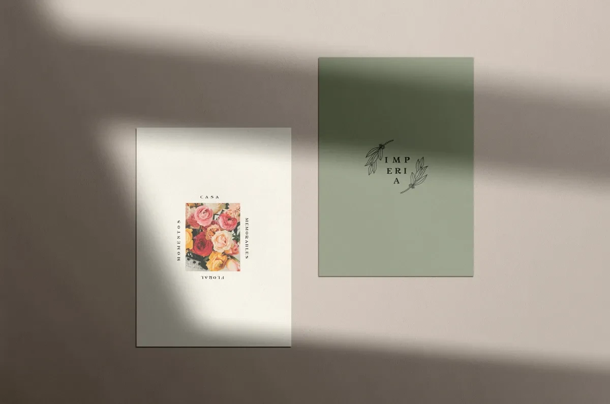 案例优选：墨西哥鲜花店插画品牌包装设计｜包装设计·设计精选