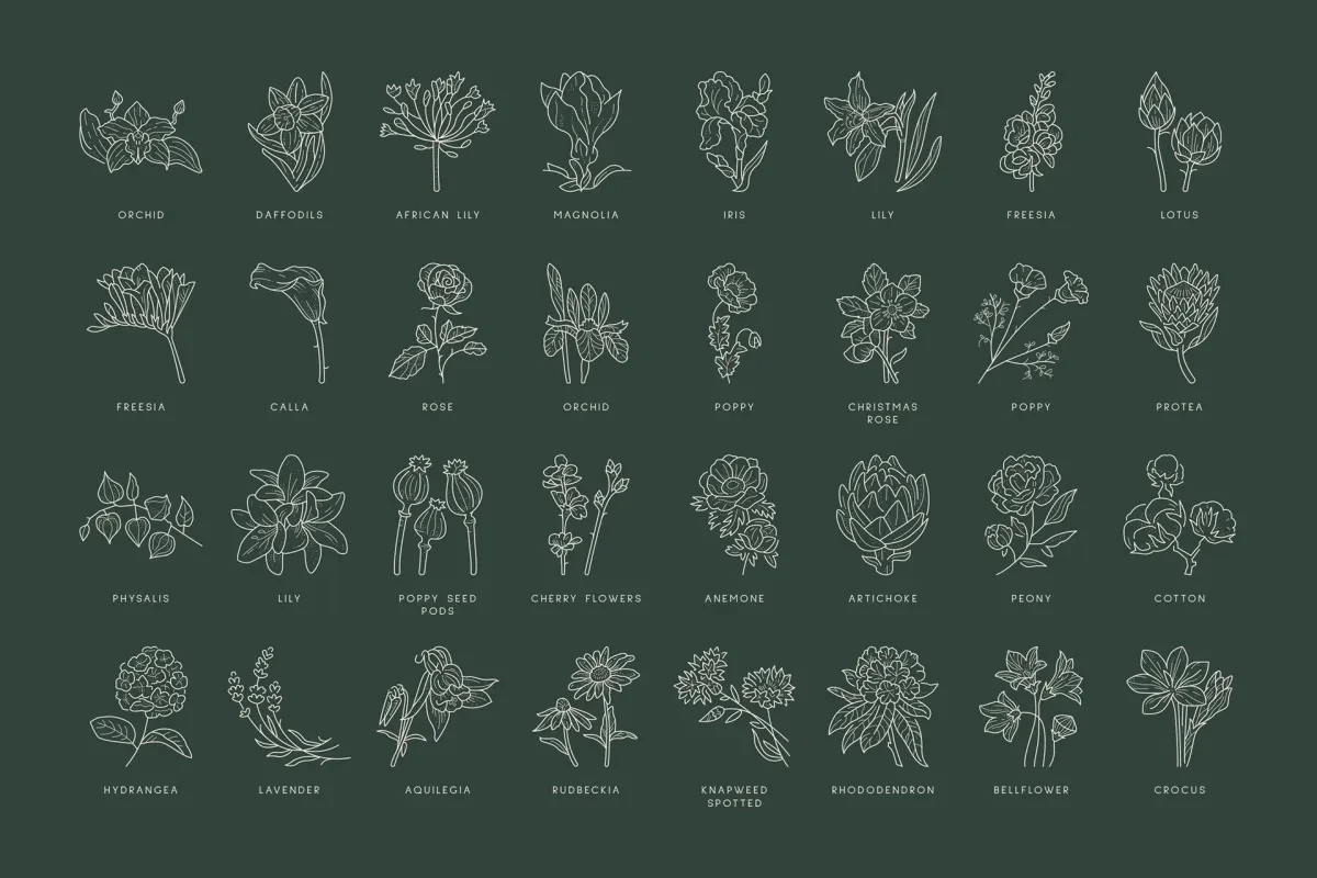 案例优选：手工花卉图标插画设计｜插画设计·设计精选