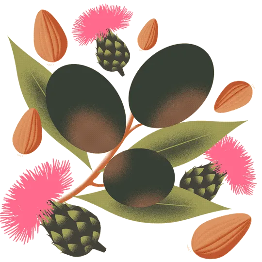 案例优选：意大利橄榄油瓶身自然纯天然水果插画包装设计｜包装设计·设计精选