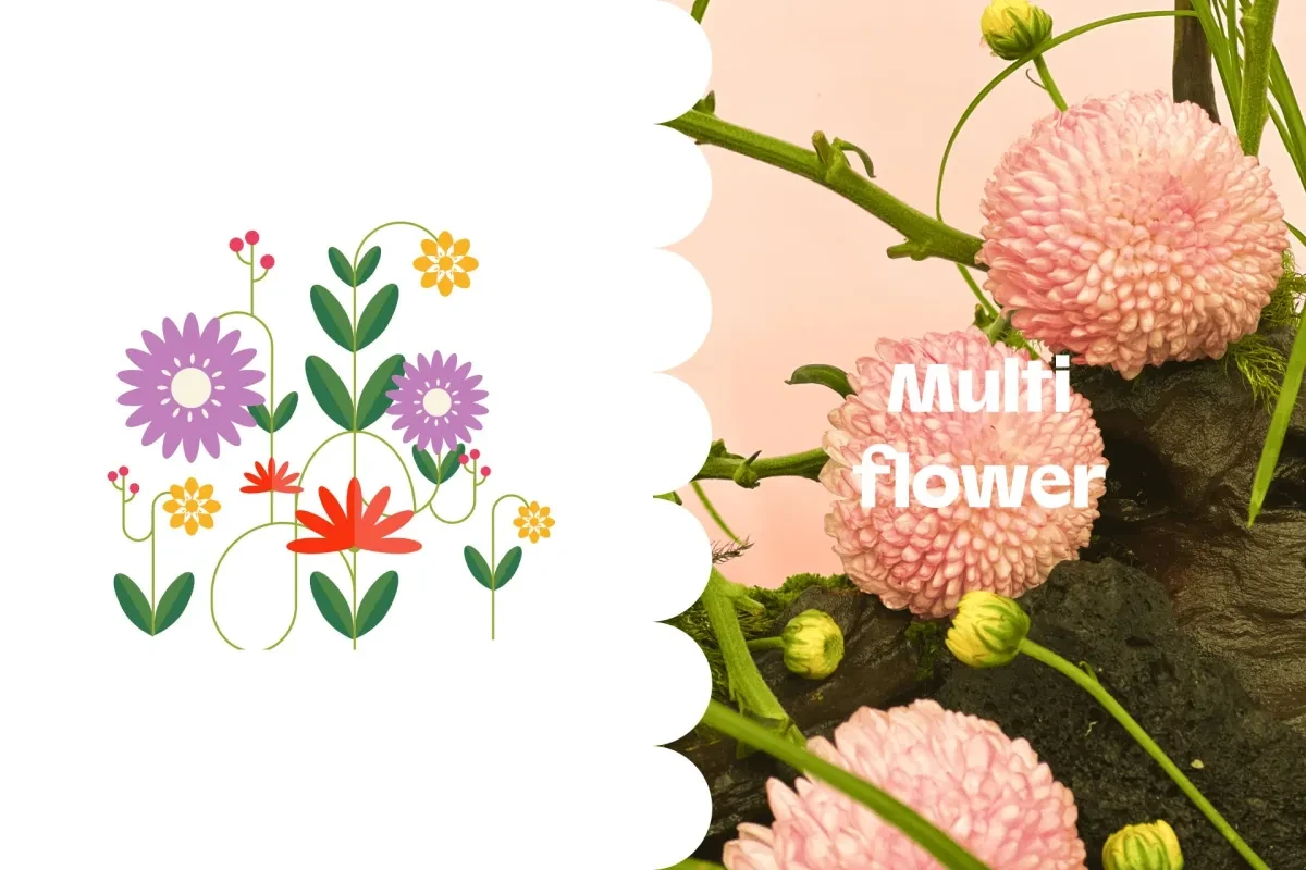 作品欣赏：蜜蜂插图排版外包装平面设计