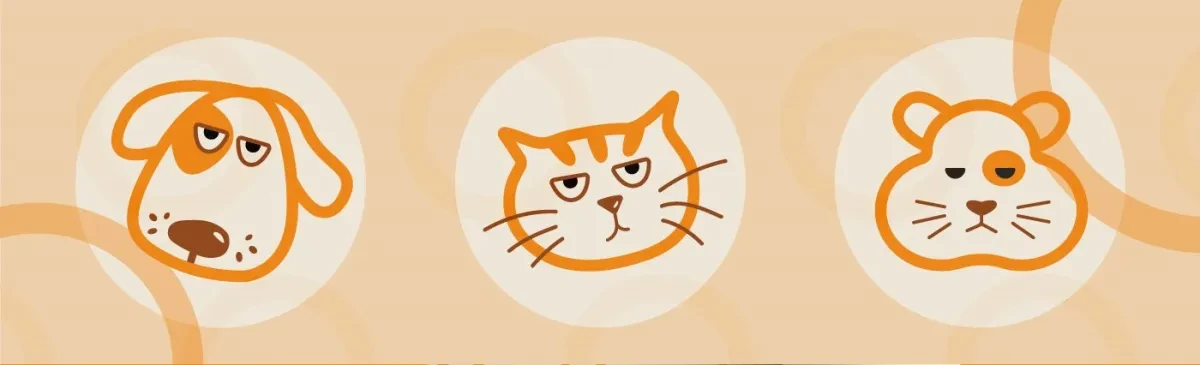 案例优选：宠物猫咪品牌外包装设计标志贴纸设计｜包装设计·设计精选