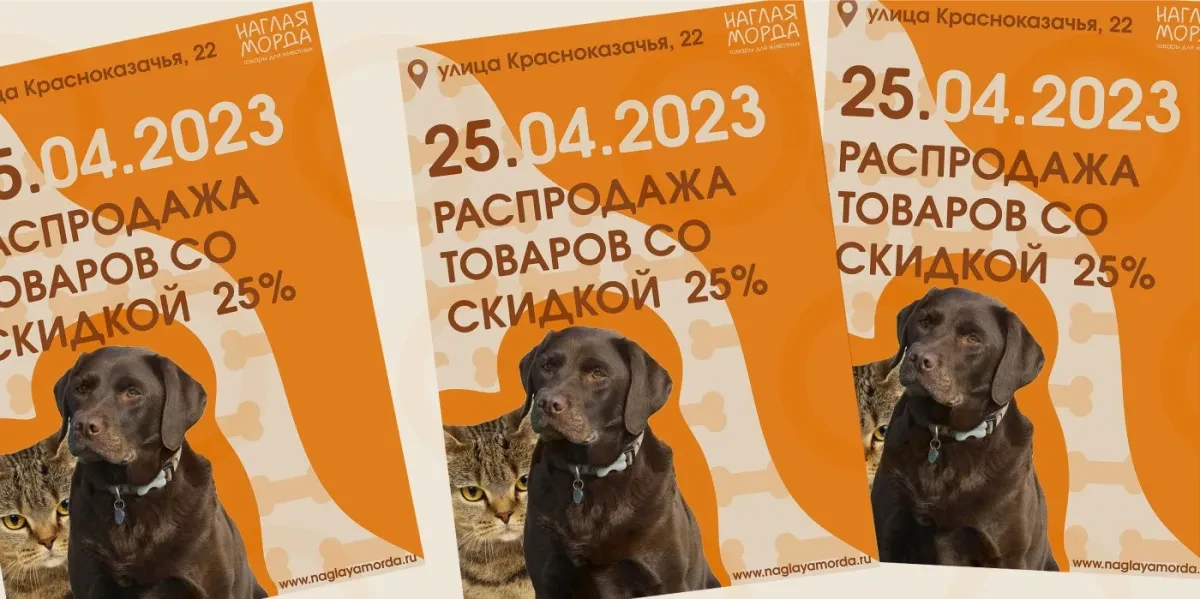 案例优选：宠物猫咪品牌外包装设计标志贴纸设计｜包装设计·设计精选
