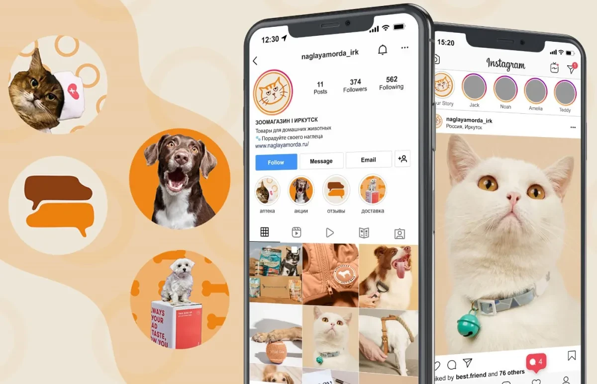 案例优选：宠物猫咪品牌外包装设计标志贴纸设计｜包装设计·设计精选