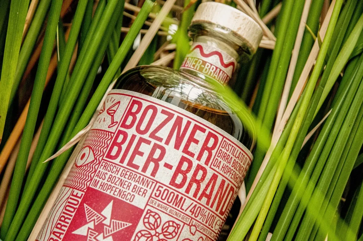 案例优选:洋酒包装设计欣赏|包装设计·设计案例精选