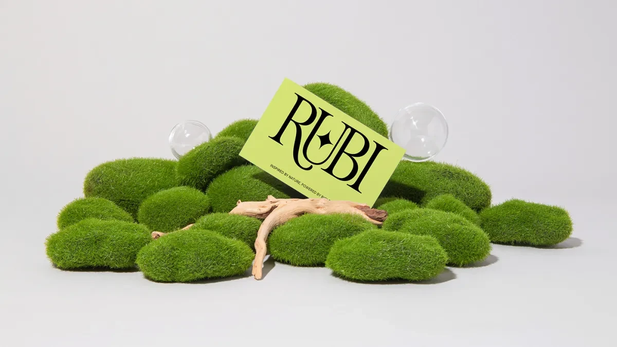 案例优选:RUBI 品牌VI设计欣赏|品牌VI·VI设计案例精选