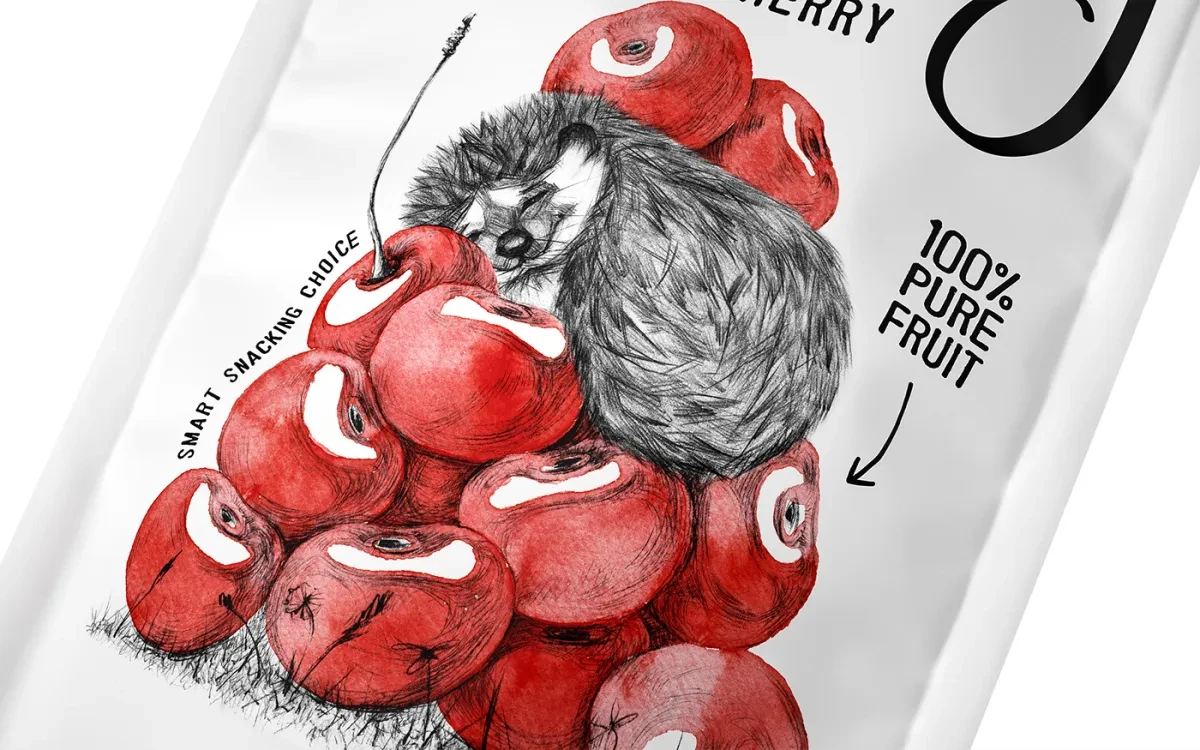 案例优选:创意插画风格果干包装设计欣赏|包装设计·设计案例精选